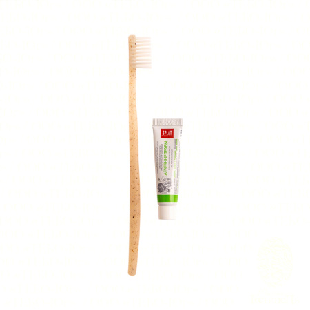  Зубной набор, упак. крафт-картон «Greenery» / Dental kit